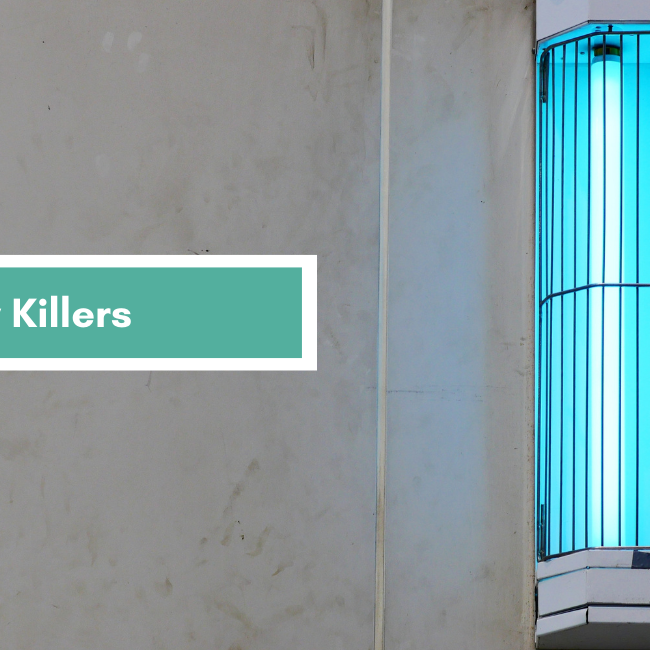 Fly Killers